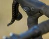 Cyklokrosov� Giant TCX Jana �karnitzla