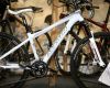 Forbikes 2010