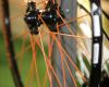 Forbikes 2010