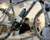 Forbikes 2010