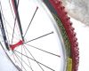 Scott Addict CX mistra sv�ta Tom�e Paprstky