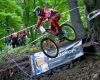 Remoex DH Cup Krupka obrazem