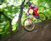 Mat�j Charv�t