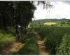 Bike�i na K�ivokl�tsku