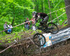 Hynek �i�insk�