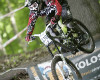 Jan Havl�tko