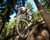 Radek Polnick�
