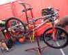 Specialized v Offenburgu