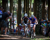 skupinka s Lindgremem, Friedlem a Eberlem