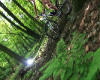 Bike Extr�m Most - �esk� poh�r XCM #2