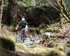 Cadabra "on the trail" TEST 