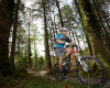 Cadabra "on the trail" TEST 