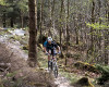 Cadabra "on the trail" TEST 