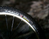 Rubena TEST 2010
