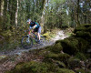Cadabra "on the trail" TEST 