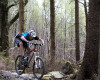Cadabra "on the trail" TEST 