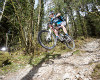 Cadabra "on the trail" TEST 