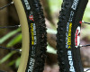 Rubena TEST 2010