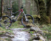 Cadabra "on the trail" TEST 