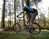 Cadabra "on the trail" TEST 