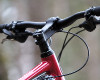 Cadabra "on the trail" TEST 
