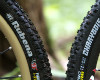 Rubena TEST 2010