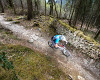 Cadabra "on the trail" TEST 