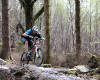 Cadabra "on the trail" TEST 