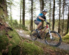 Cadabra "on the trail" TEST 