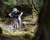 Cadabra "on the trail" TEST 