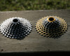 Shimano & KCNC pod drobnohledem