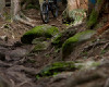 Sv�tov� poh�r DH Val di Sole