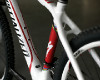 SJ Carbon detailn�