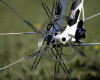 Allmountain bike GT 2011
