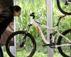 Giant Maestro 2011