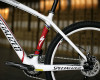 SJ Carbon detailn�