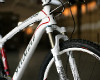 SJ Carbon detailn�
