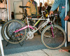 novinky 1994-1995