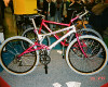 novinky 1994-1995