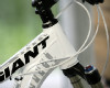 Giant Maestro 2011