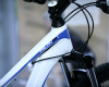 Giant 29" 2011 obrazem