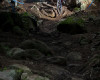 Sv�tov� poh�r DH Val di Sole