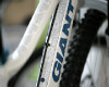 Giant Maestro 2011