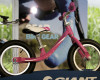 Giant silni�ky a ostatn� kola 2011
