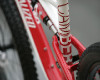 Specialized 2011 - Camber