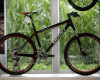 Hrdtaily Giant 2011