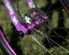 Gravity bike GT 2011