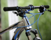 Giant 29" 2011 obrazem