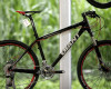 Hrdtaily Giant 2011