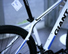 Giant 29" 2011 obrazem